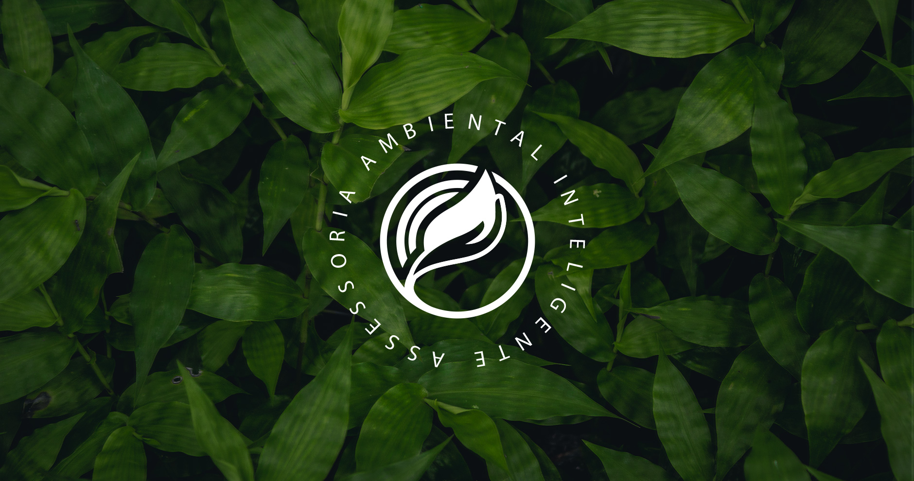 Logica Assessoria Ambiental Inteligente